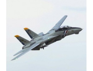Freewing F-14 Tomcat Twin 80mm EDF Jet PNP Version Freewing F-14 Tomcat Twin 80mm EDF Jet PNP Version